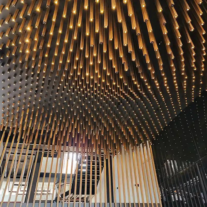 Shanker-HQ-Celling