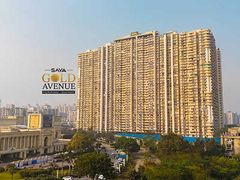 Saya-Gold-Avenue