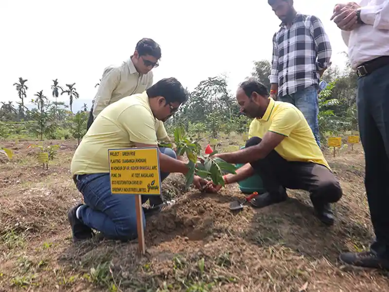 Greenply-Industries-Limited